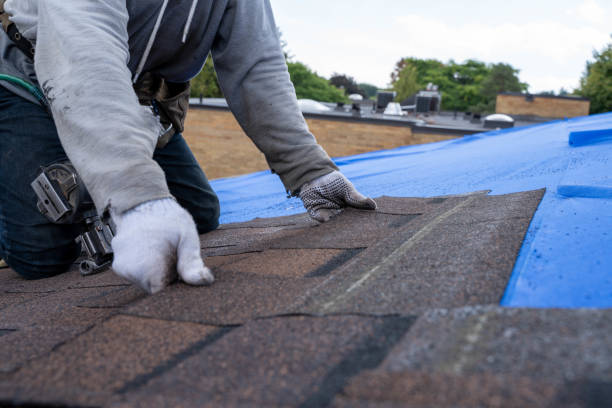 Roof Gutter Cleaning in Spencerport, NY